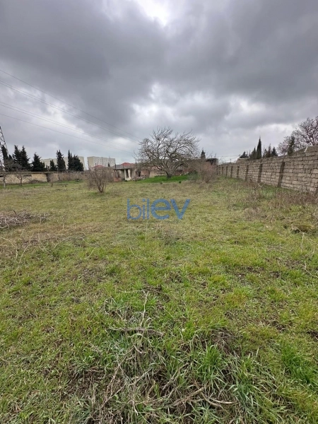 Satış  otaqlı Torpaq  2600m², Bakı