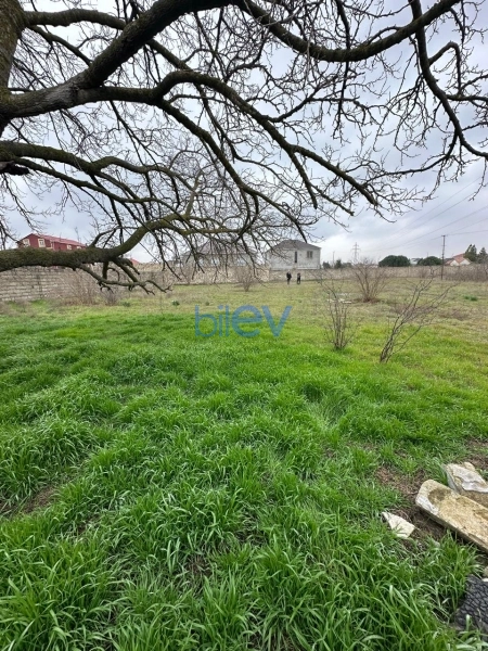 Satış  otaqlı Torpaq  2600m², Bakı