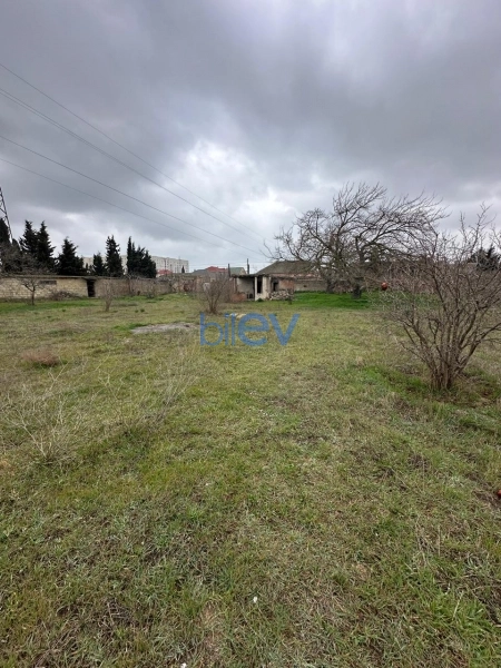 Satış  otaqlı Torpaq  2600m², Bakı