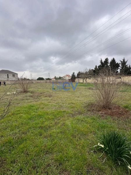 Satış  otaqlı Torpaq  2600m², Bakı