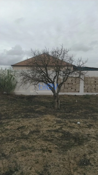 Satış  otaqlı Torpaq  1200m², Bakı