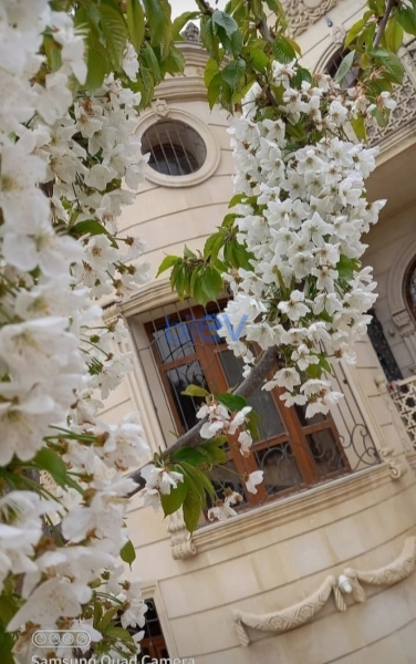 Aylıq Kirayə 10 otaqlı Həyət evi  360m², Bakı