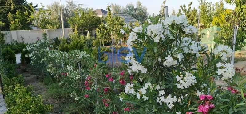 Satış 6 otaqlı Həyət evi  250m², Bakı