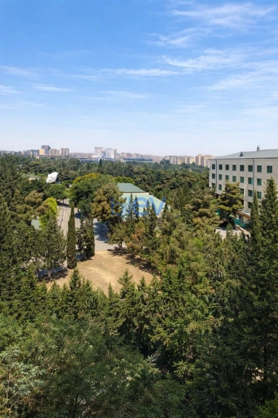 Aylıq Kirayə 3 otaqlı Köhnə Tikili bina evi  84m², Bakı