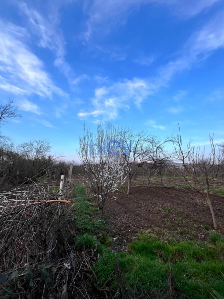 Satış 4 otaqlı Həyət evi  150m², Şəmkir