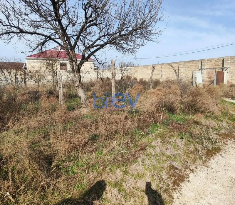Satış  otaqlı Torpaq  600m², Şirvan
