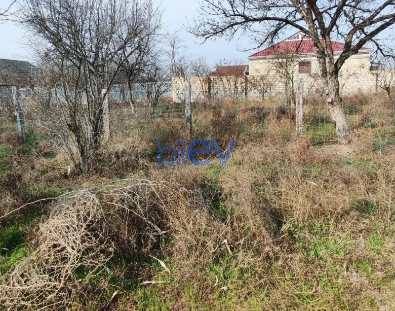 Satış  otaqlı Torpaq  600m², Şirvan