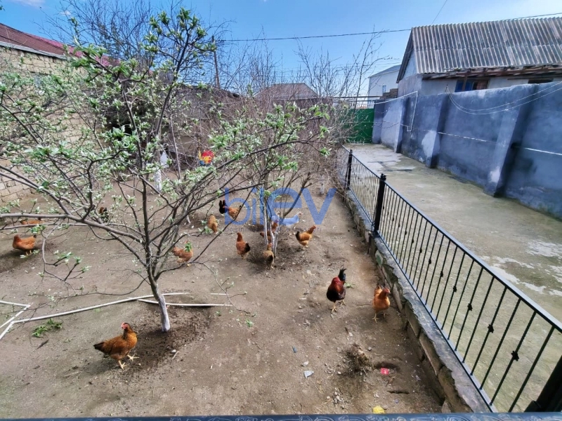 Satış 3 otaqlı Həyət evi  90m², Bakı