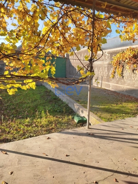 Satış 3 otaqlı Həyət evi  500m², Şəki