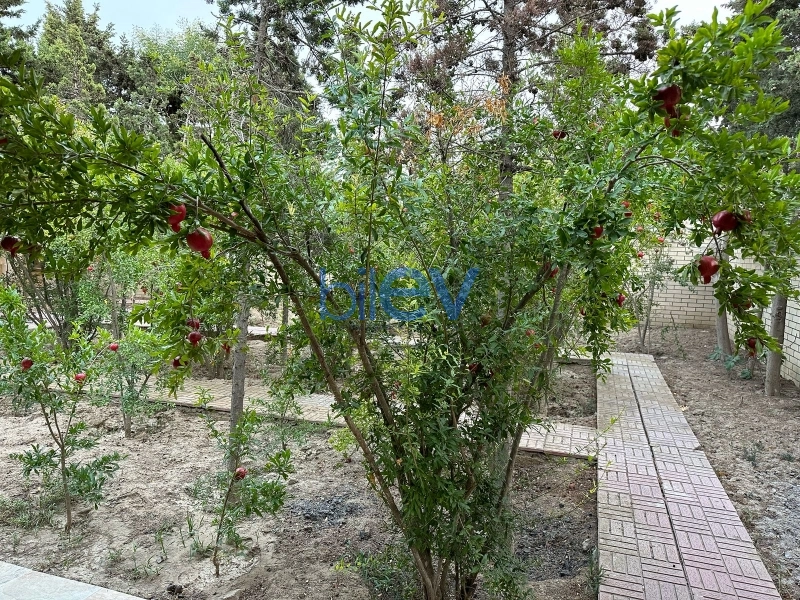 Satış 10 otaqlı Villa  1000m², Bakı