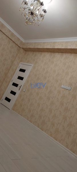Aylıq Kirayə 2 otaqlı Yeni Tikili bina evi  60m², Bakı