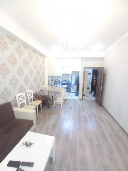 Aylıq Kirayə 2 otaqlı Yeni Tikili bina evi  55m², Bakı