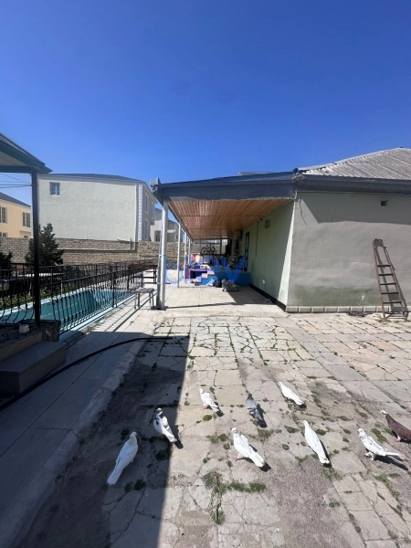 Satış  otaqlı Torpaq  2000m², Bakı