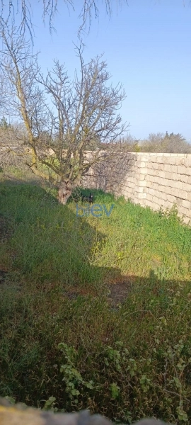 Satış  otaqlı Torpaq  700m², Bakı