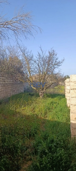 Satış  otaqlı Torpaq  700m², Bakı