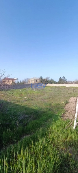 Satış  otaqlı Torpaq  700m², Bakı