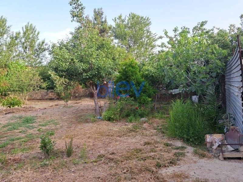 Satış  otaqlı Torpaq  3m², Bakı