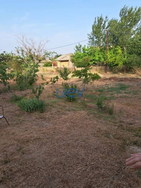 Satış  otaqlı Torpaq  3m², Bakı