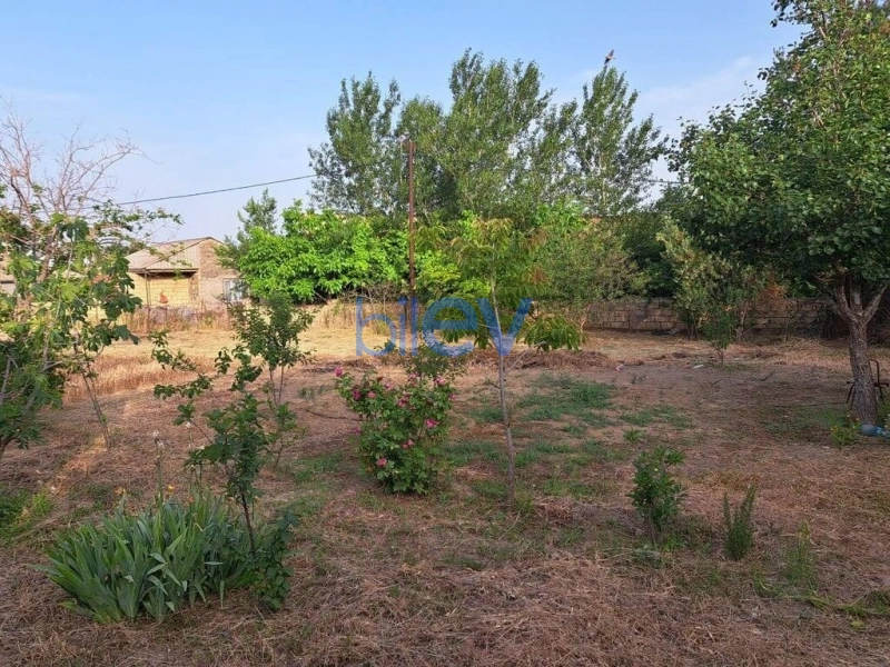 Satış  otaqlı Torpaq  3m², Bakı