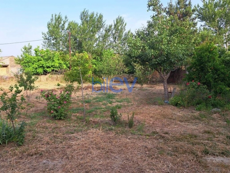 Satış  otaqlı Torpaq  3m², Bakı