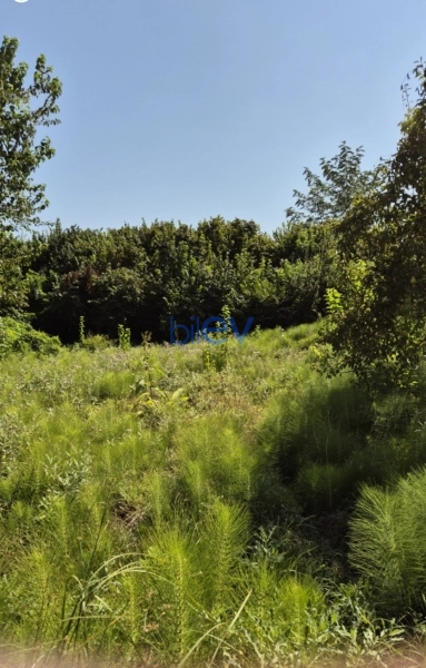 Satış 5 otaqlı Həyət evi  140m², İsmayıllı