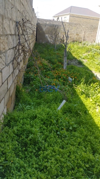 Satış 1 otaqlı Torpaq  340m², Bakı