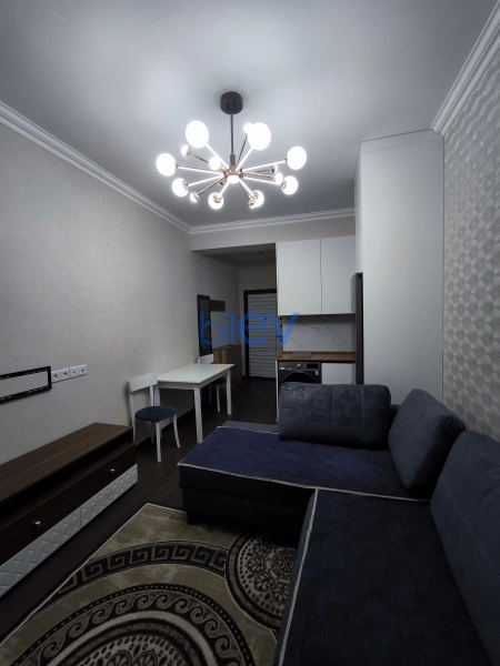 Aylıq Kirayə 1 otaqlı Yeni Tikili bina evi  30m², Bakı