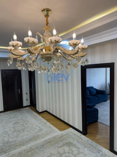 Satış 2 otaqlı Yeni Tikili bina evi  94m², Bakı