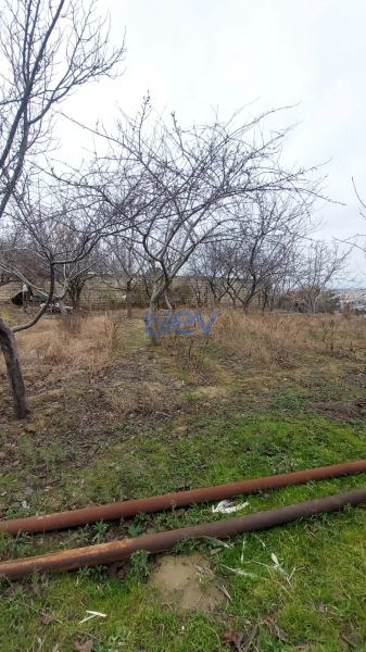 Satış 6 otaqlı Villa  450m², Bakı