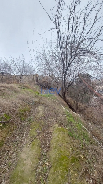 Satış 6 otaqlı Villa  450m², Bakı