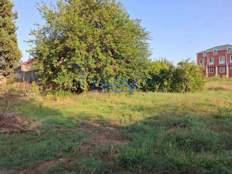 Satış 0 otaqlı Torpaq  2500m², Bakı