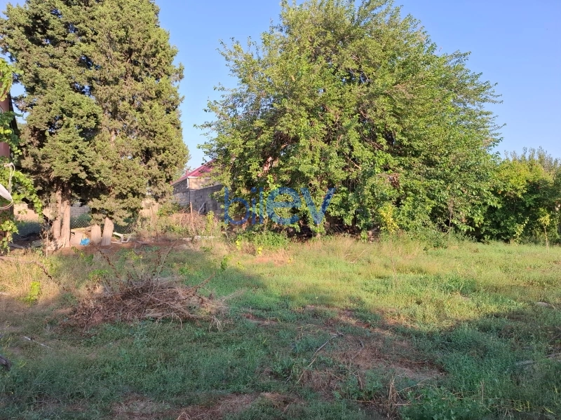 Satış 0 otaqlı Torpaq  2500m², Bakı