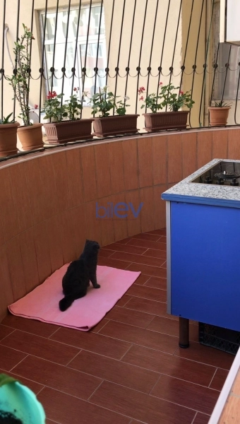 Satış 4 otaqlı Yeni Tikili bina evi  140m², Bakı