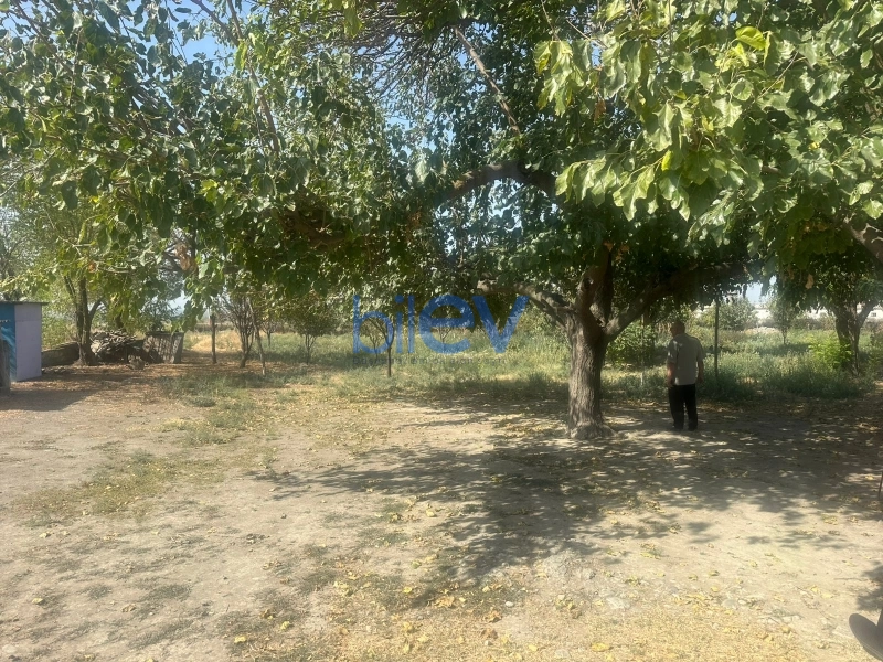 Satış 4 otaqlı Torpaq  10000m², Göyçay