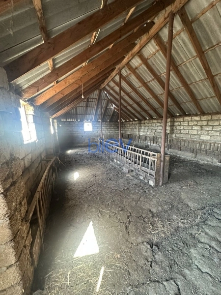 Satış 4 otaqlı Torpaq  10000m², Göyçay