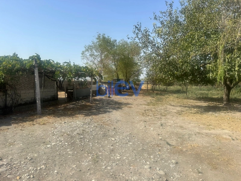 Satış 4 otaqlı Torpaq  10000m², Göyçay