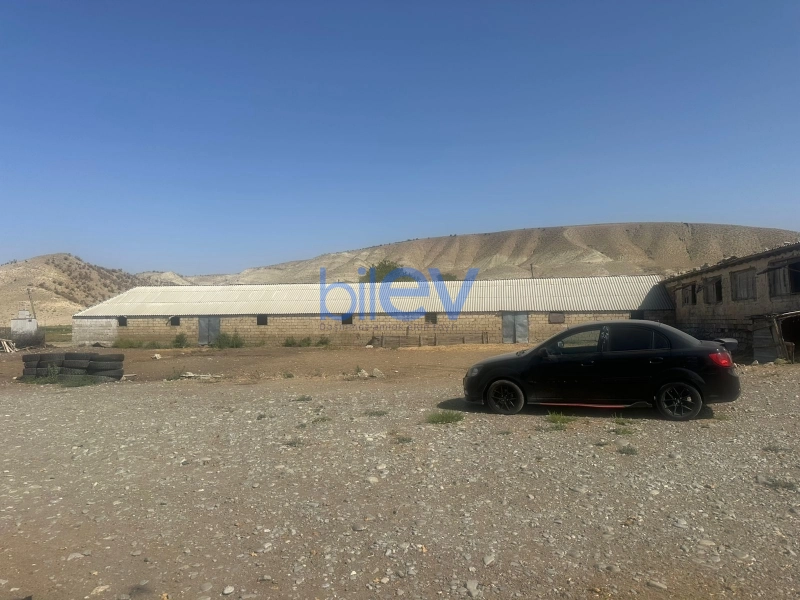 Satış 4 otaqlı Torpaq  10000m², Göyçay