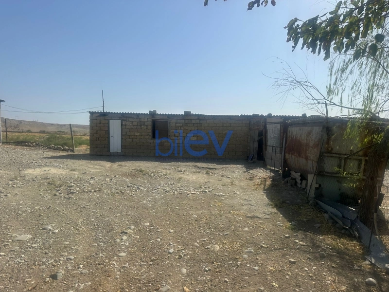 Satış 4 otaqlı Torpaq  10000m², Göyçay