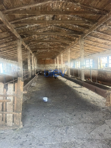 Satış 4 otaqlı Torpaq  10000m², Göyçay