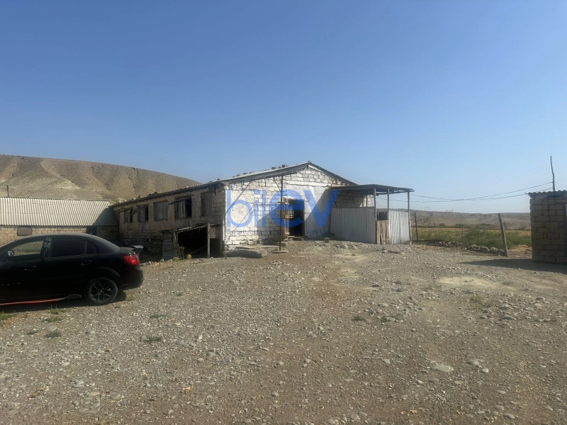 Satış 4 otaqlı Torpaq  10000m², Göyçay