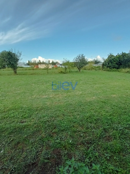 Satış 0 otaqlı Torpaq  20m², Zaqatala