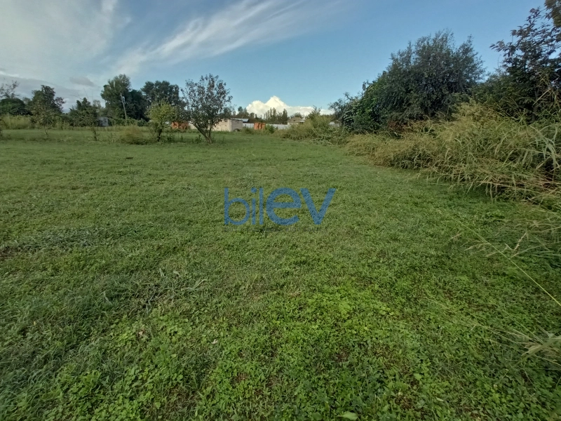 Satış 0 otaqlı Torpaq  20m², Zaqatala