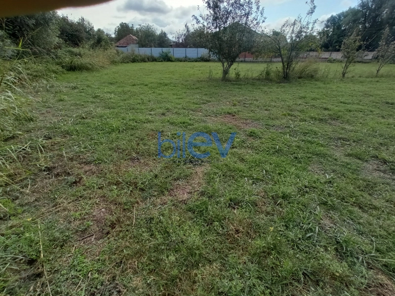 Satış 0 otaqlı Torpaq  20m², Zaqatala