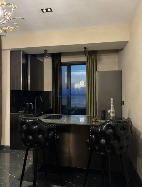 Satış 1 otaqlı Yeni Tikili bina evi  53m², Bakı