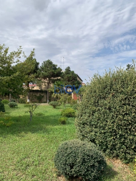 Satış  otaqlı Torpaq  6m², Bakı