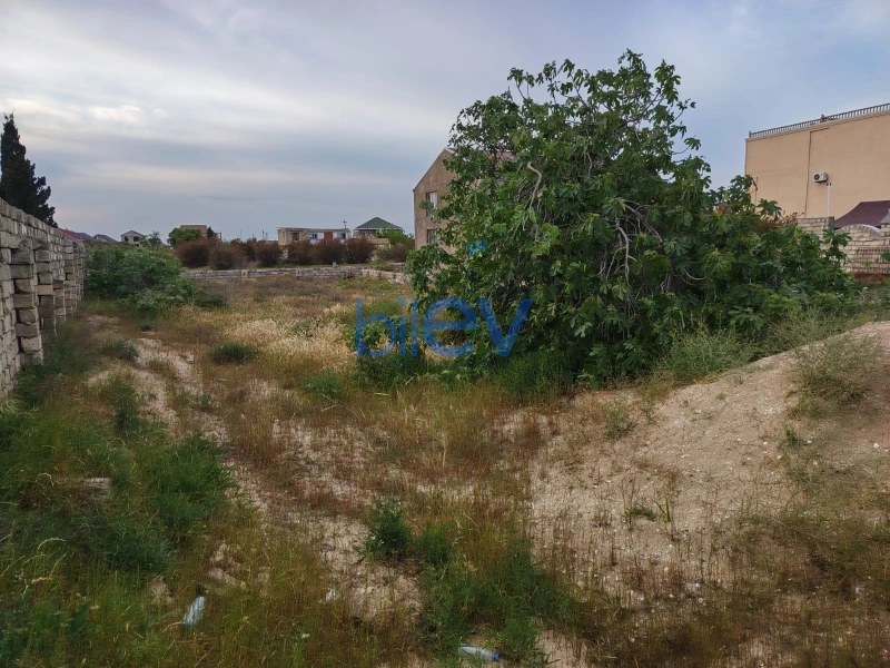 Satış  otaqlı Torpaq  8m², Bakı
