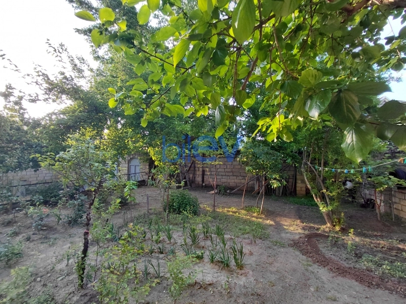 Satış 9 otaqlı Həyət evi  450m², Bakı