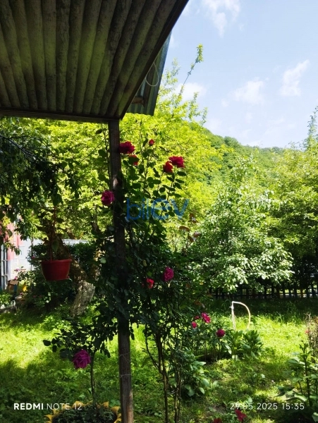 Günlük Kirayə 3 otaqlı Həyət evi  120m², Qəbələ