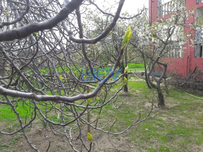 Satış 5 otaqlı Bağ evi  206m², Bakı