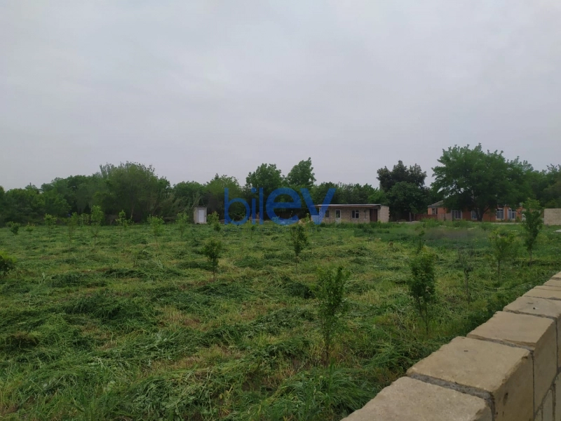 Satış  otaqlı Torpaq  40m², Tərtər